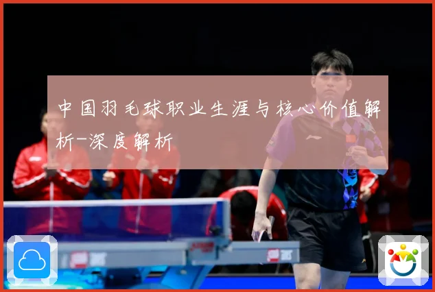中国羽毛球职业生涯与核心价值解析-深度解析