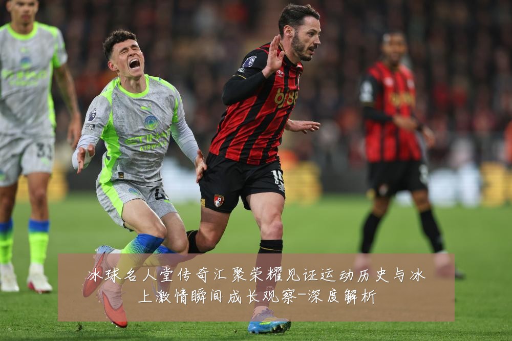 冰球名人堂传奇汇聚荣耀见证运动历史与冰上激情瞬间成长观察-深度解析