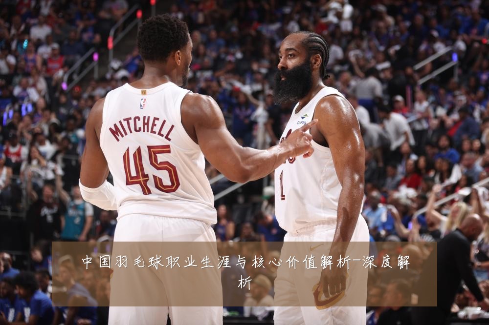 中国羽毛球职业生涯与核心价值解析-深度解析