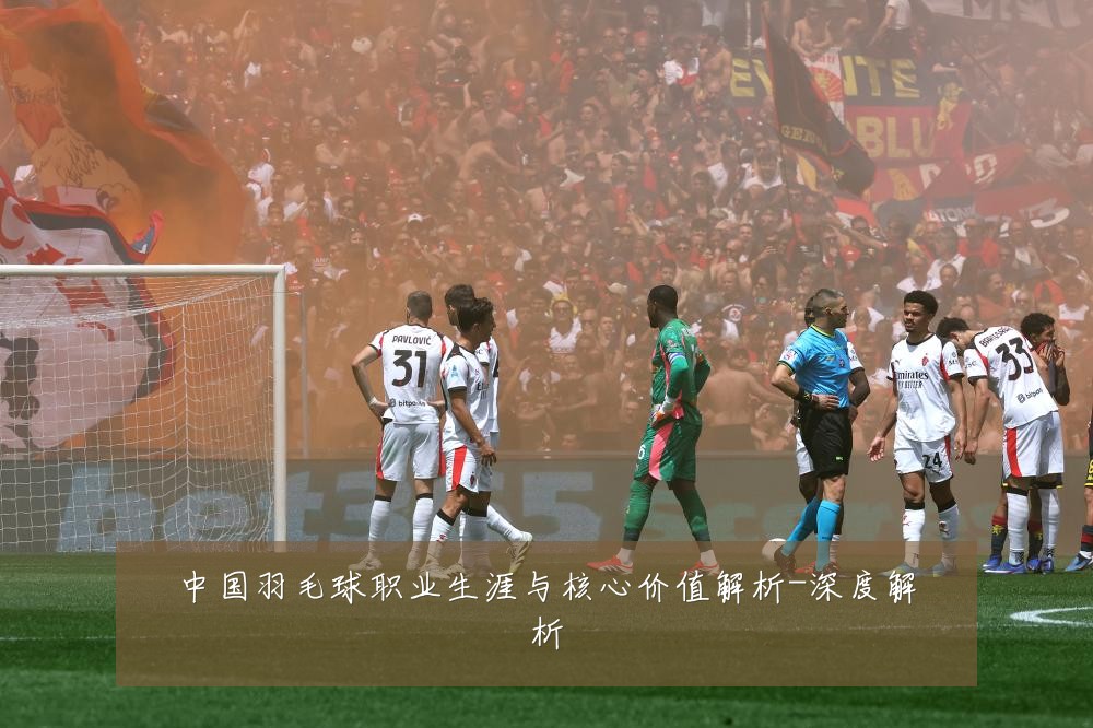 中国羽毛球职业生涯与核心价值解析-深度解析